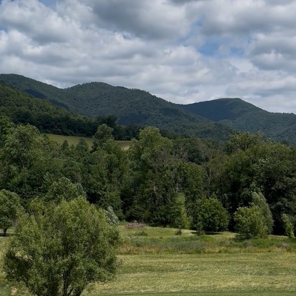 mountain_meadow